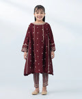 2 Piece - Embroidered Cotton Net Suit