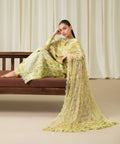 3 Piece - Embroidered Chiffon Suit
